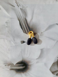 Dina Pendientes