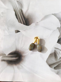 Dina Pendientes