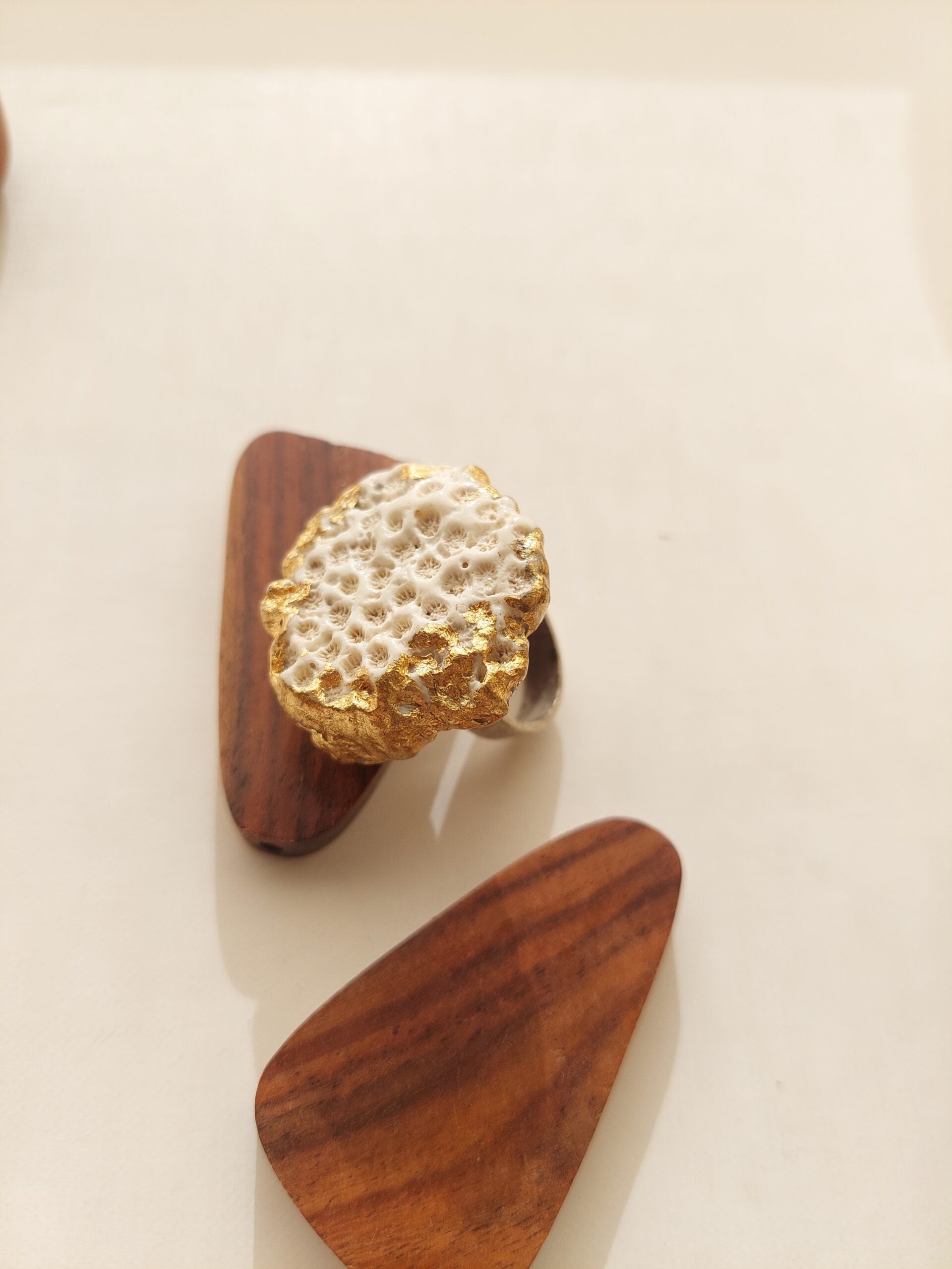 Coral Anillo