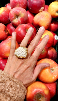 Coral Anillo