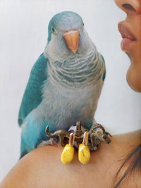 Dina Pendientes