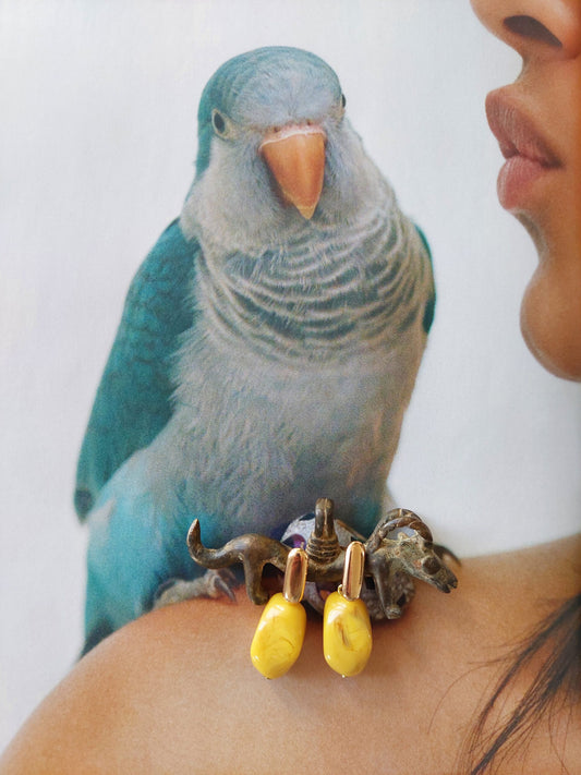 Dina Pendientes