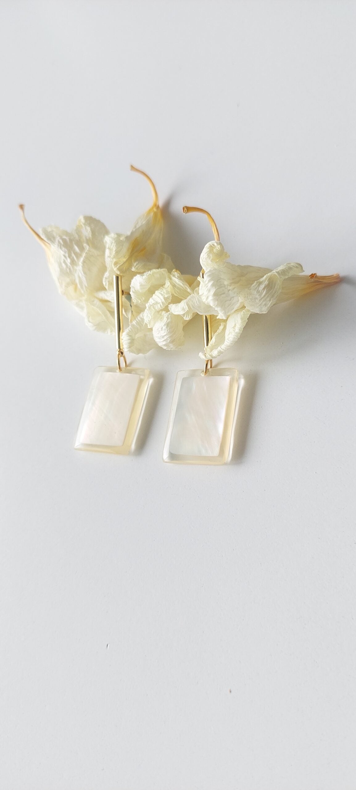 Alavi Pendientes