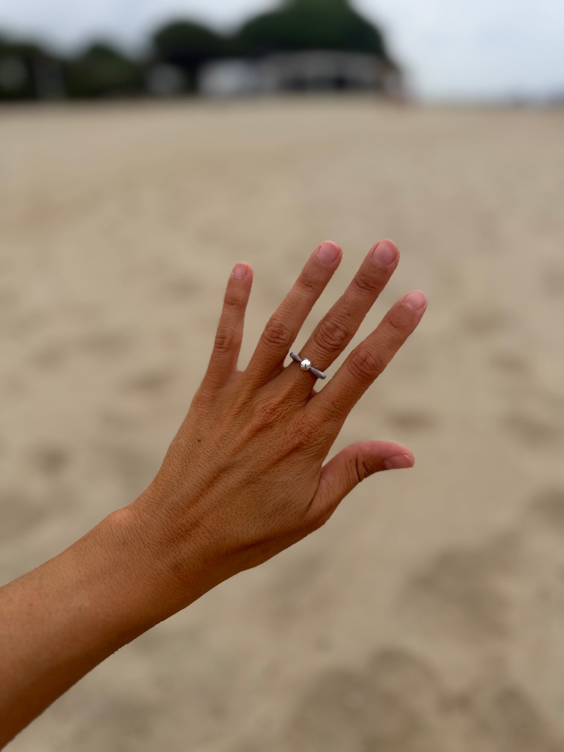 Anillo Ikigai