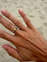Anillo Ikigai