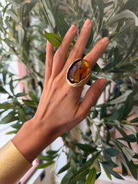 Anillo Moss